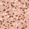 Behang Terrazzo - Terra