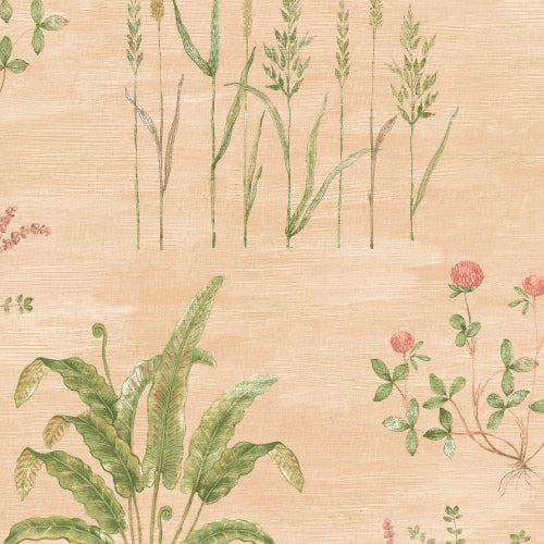 Botanisch behang voor slaapkamer of woonkamer Field of Hope days of bloom peach lichtroze