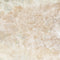Bloemen Behang Dahlia Dawn - Sandstone