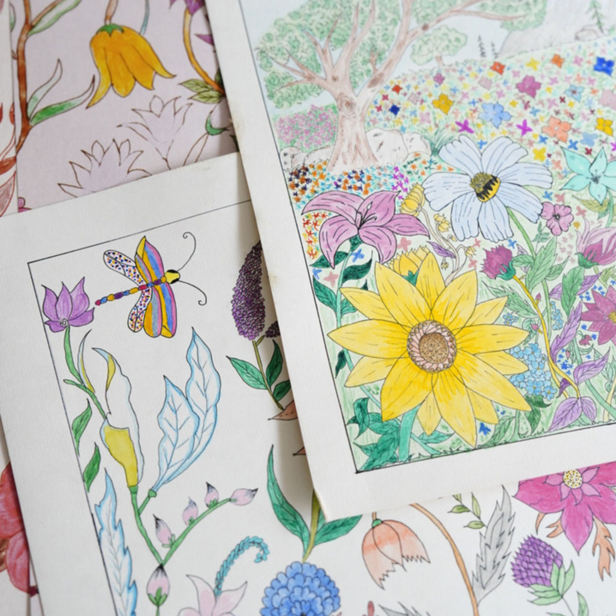 Wallpaper Indian Floral - Aimee