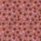 Bloemen behang | Suraj Choomi - Sun Kissed Petals - Masala