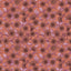 Wallpaper Indian Floral - Aimee