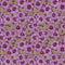 Bloemen behang | Sada Bahaar - Eternal Bloom - Amethyst
